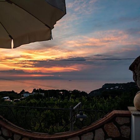 Casa Astra Bed and Breakfast Ανακάπρι Εξωτερικό φωτογραφία