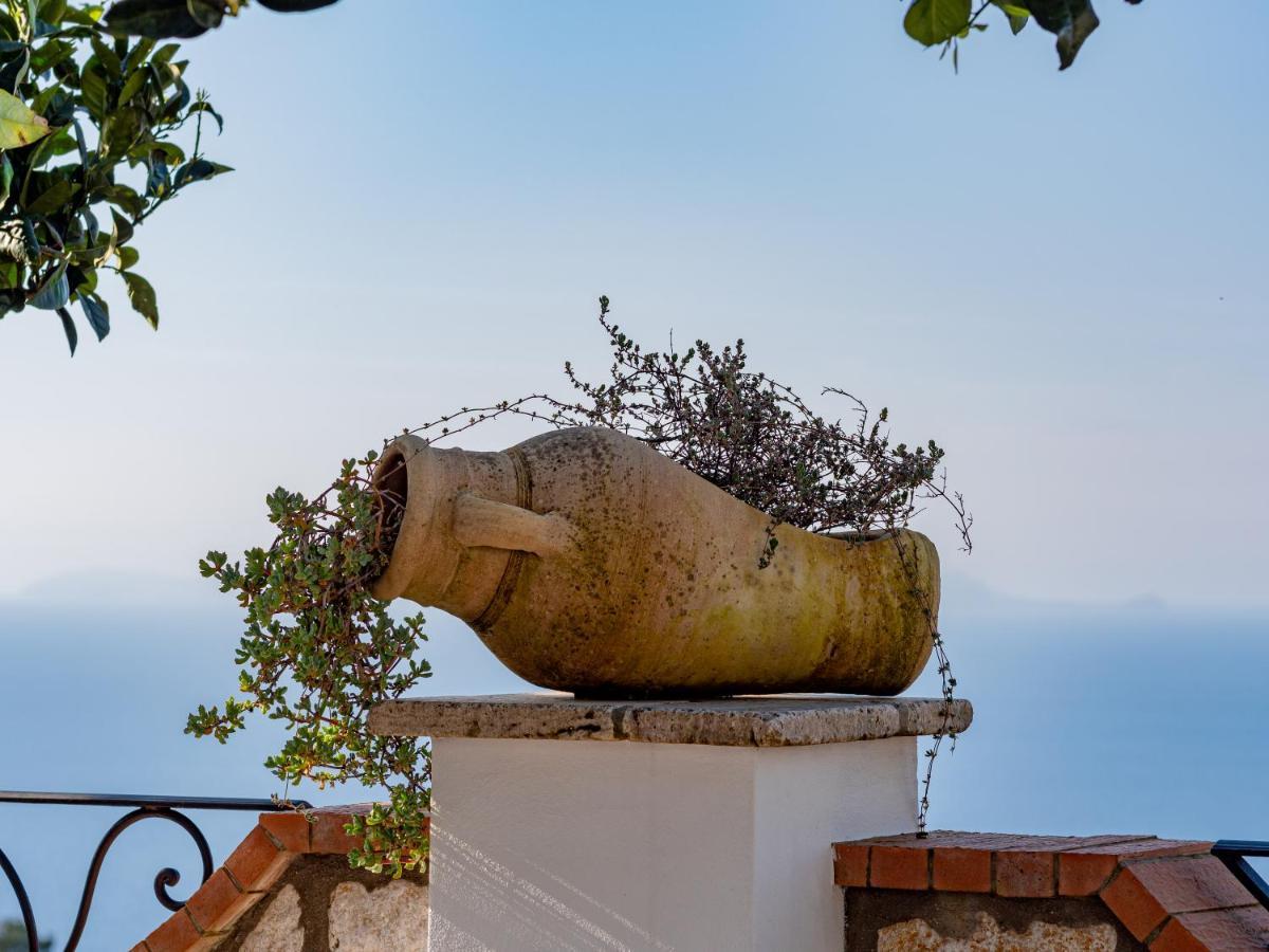 Casa Astra Bed and Breakfast Ανακάπρι Εξωτερικό φωτογραφία