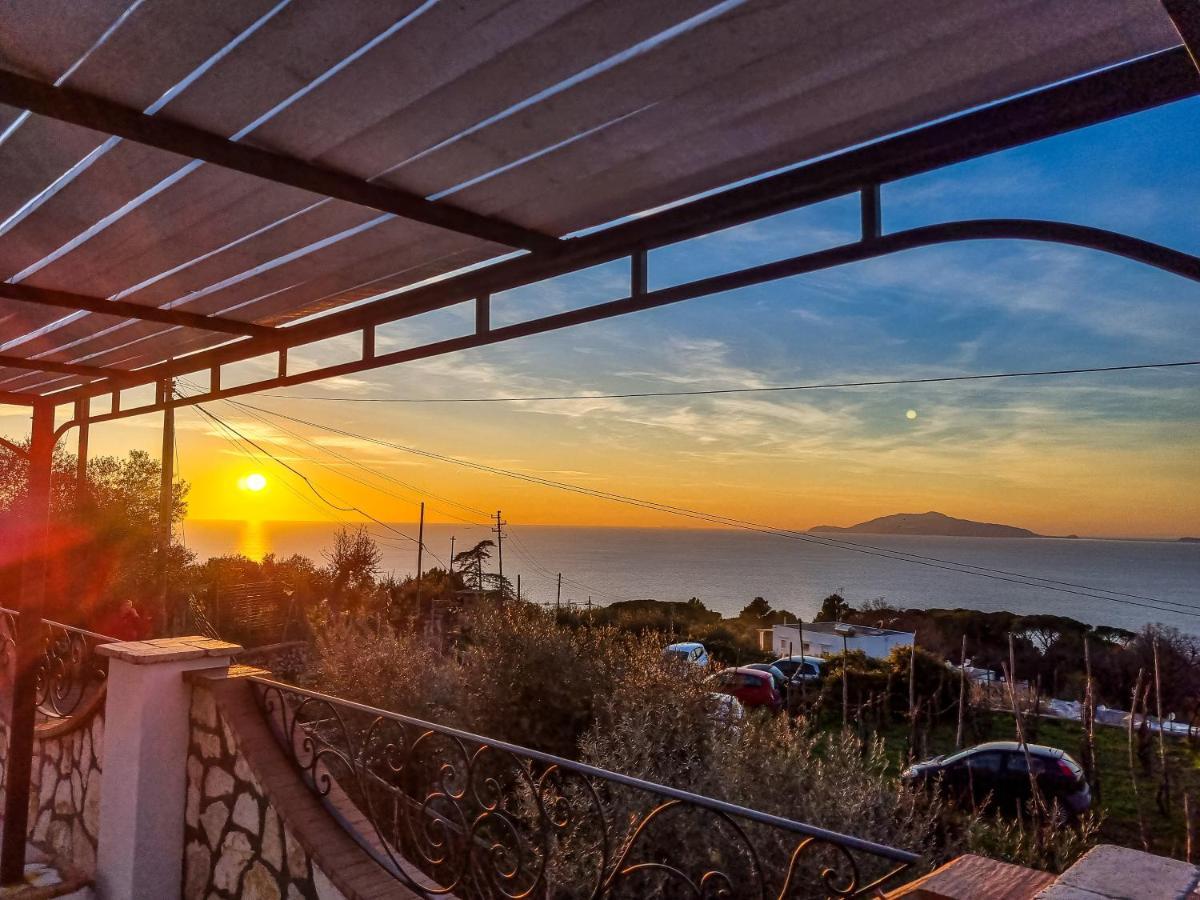 Casa Astra Bed and Breakfast Ανακάπρι Εξωτερικό φωτογραφία