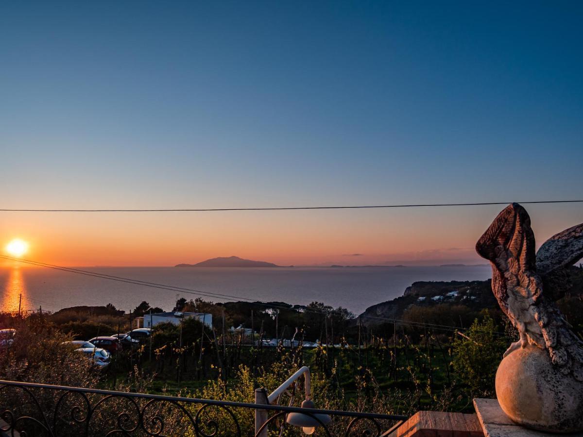 Casa Astra Bed and Breakfast Ανακάπρι Εξωτερικό φωτογραφία