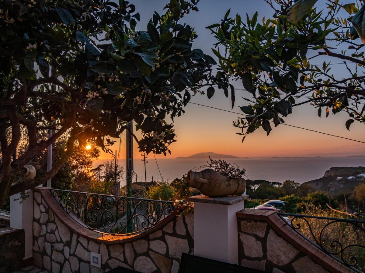 Casa Astra Bed and Breakfast Ανακάπρι Εξωτερικό φωτογραφία
