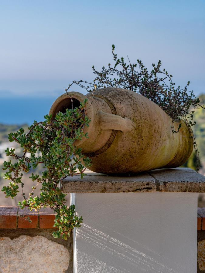 Casa Astra Bed and Breakfast Ανακάπρι Εξωτερικό φωτογραφία