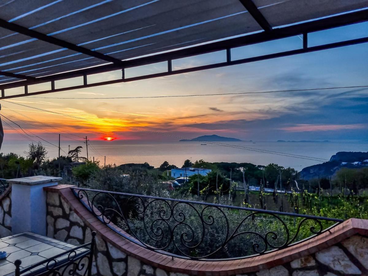Casa Astra Bed and Breakfast Ανακάπρι Εξωτερικό φωτογραφία