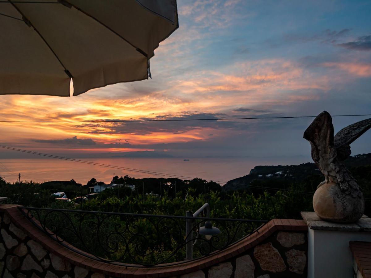 Casa Astra Bed and Breakfast Ανακάπρι Εξωτερικό φωτογραφία